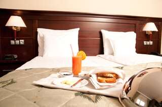 Отель Hotel Rapsodia City Center Ботошани Двухместный номер Делюкс с 1 кроватью или 2 отдельными кроватями-3